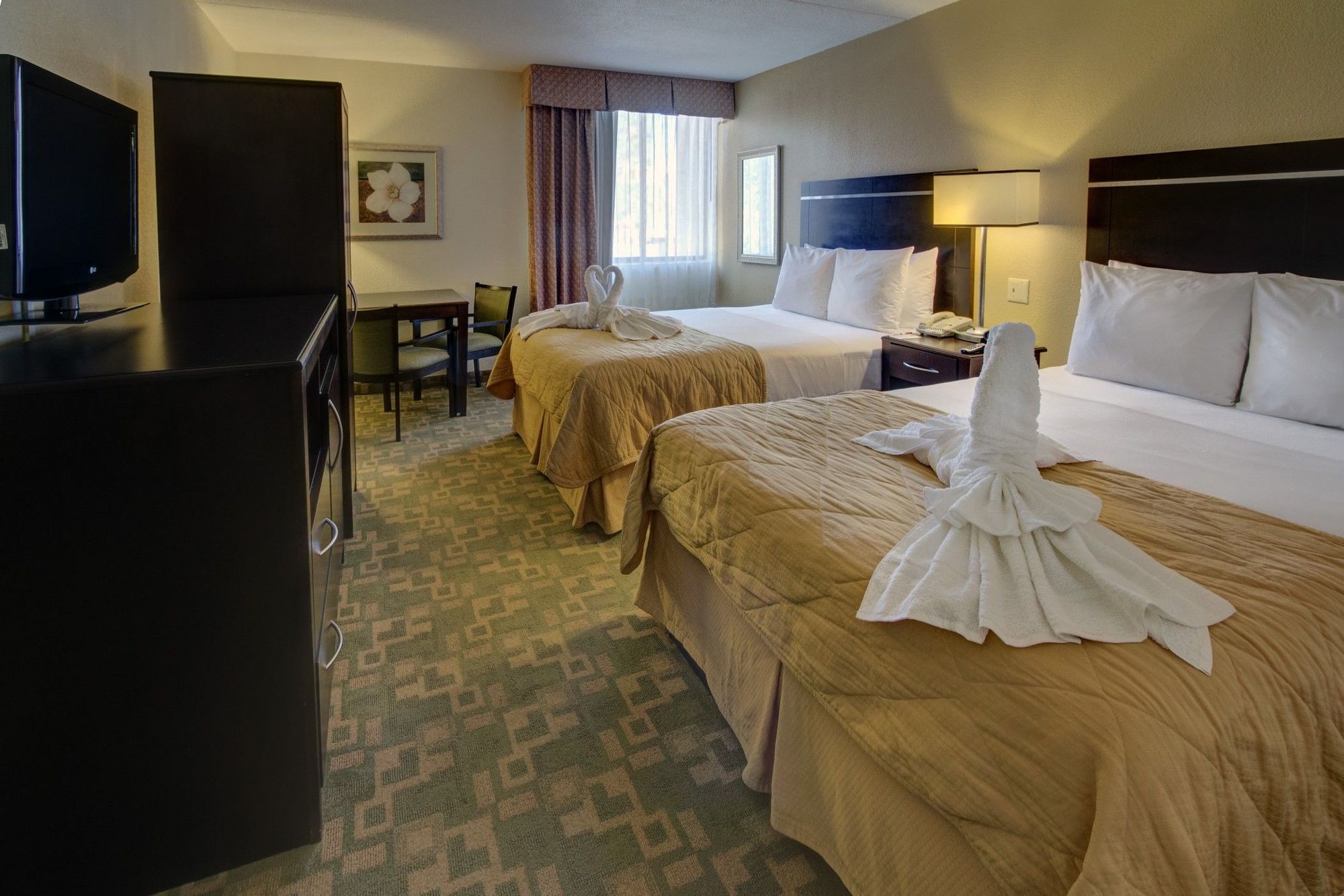 Clarion Inn & Suites At International Drive Orlando Habitación foto